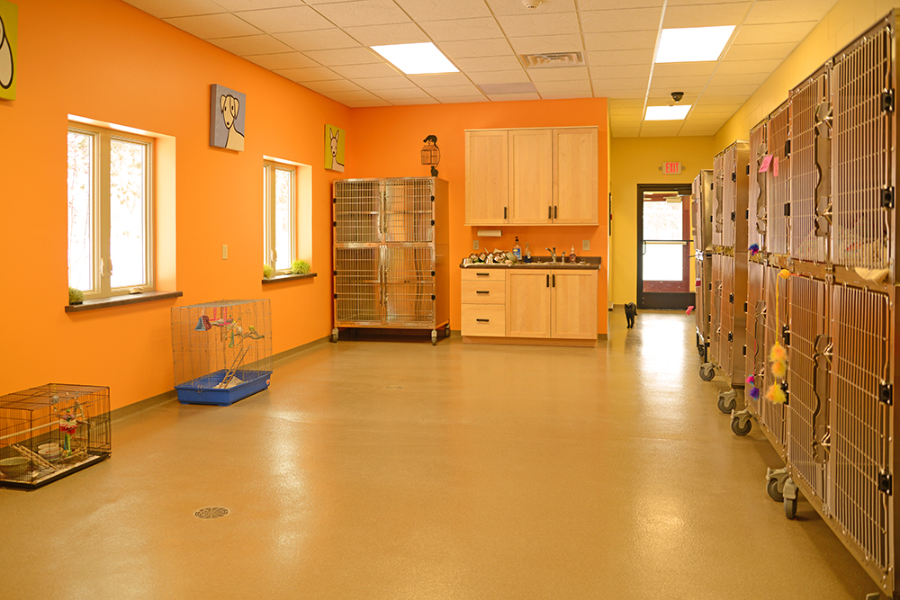 The Humane Society in Lincoln Countyy